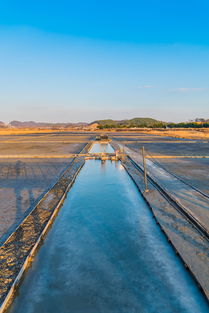 开云体育平台-生态+赛事，兴隆湖引领水上马拉松潮流，兴隆湖有水了吗